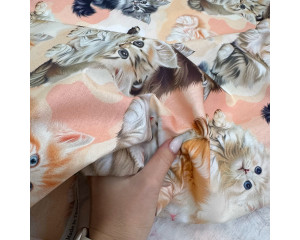 Ранфорс котята персиковые