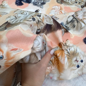 Ранфорс котята персиковые