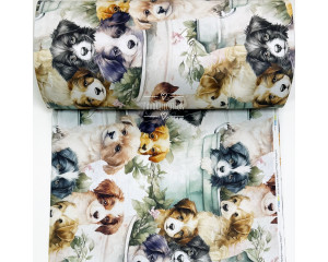 Ранфорс собачки