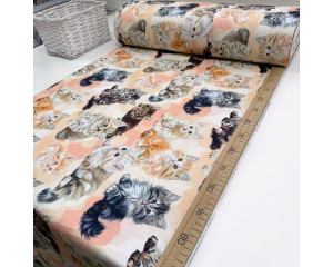 Ранфорс котята персиковые