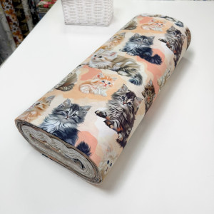 Ранфорс котята персиковые