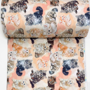 Ранфорс котята персиковые