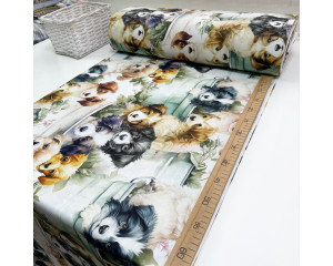 Ранфорс собачки