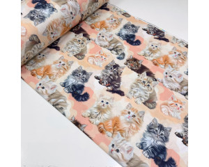 Ранфорс котята персиковые