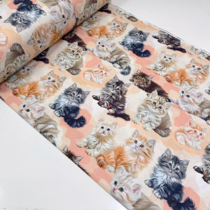 Ранфорс котята персиковые