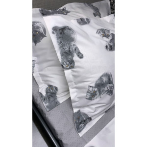 Ранфорс котята серые