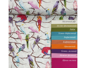 DUCK попугаи на молочном