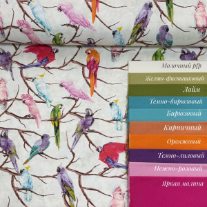 DUCK попугаи на молочном