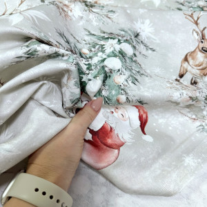 DUCK деды морозы на пыльно-мятном