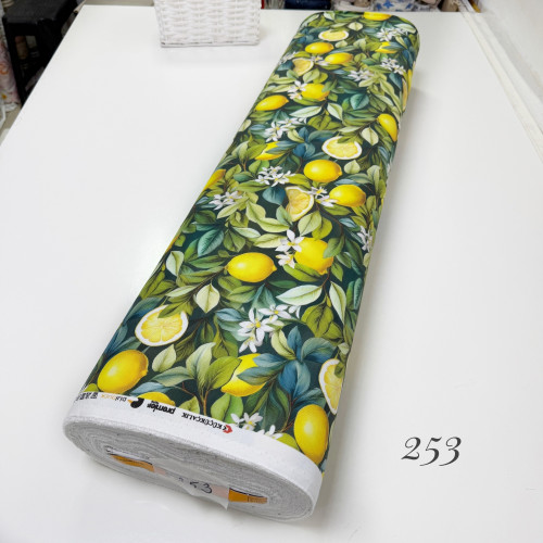 DUCK 253