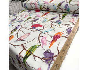 DUCK попугаи на молочном