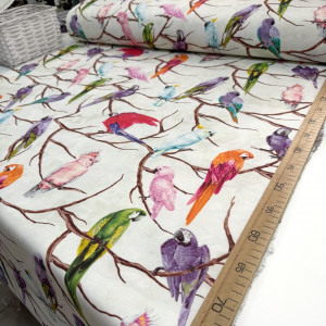 DUCK попугаи на молочном