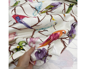 DUCK попугаи на молочном