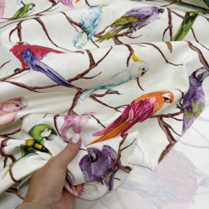 DUCK попугаи на молочном