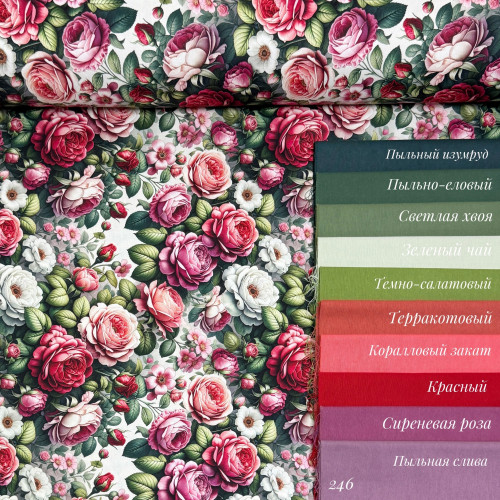 DUCK 246