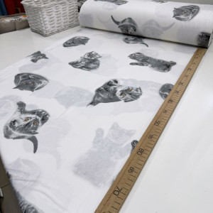 Ранфорс котята серые