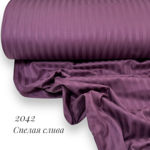 Страйп-сатин 2042 (спелая слива)